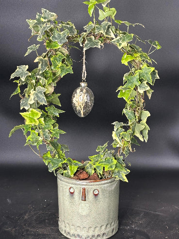 Efeu på bøjle i grøn potte