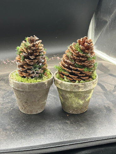 Kogledekoration i grå lerpotte – ca. 22 cm høj