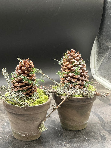 Kogledekoration i grå lerpotte – ca. 26 cm høj