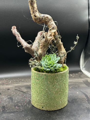 Dekoration med lyskæde