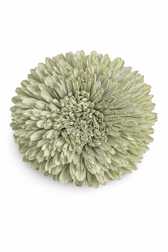 Dekorativ Dahlia Blomst – Kunstig