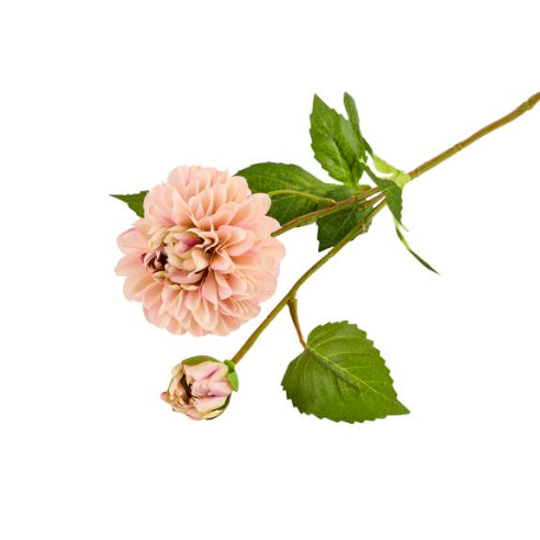 Silkeblomst Dahlia 55 cm