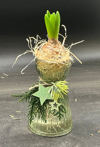 Hyacintvase grøn med hyacint og pynt