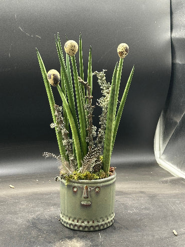 potte med sanseveria og påskestemning