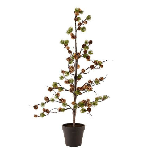 Cedertræ med kogler 70 cm