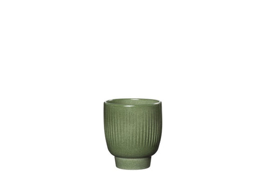 Oliven grøn urtepotte