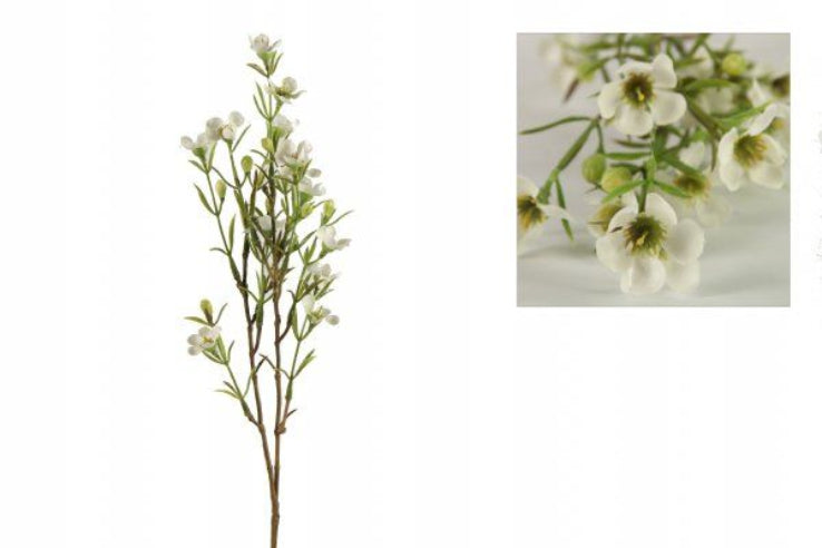 Hvide voksblomster i bundter