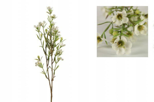 Hvide voksblomster i bundter