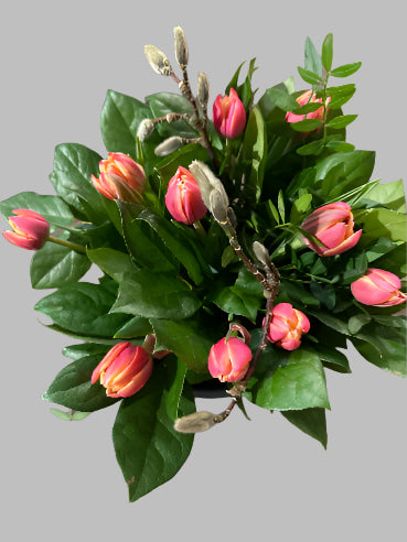 Tulipan buket peach dobbelt