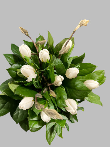 Tulipan buket Hvid