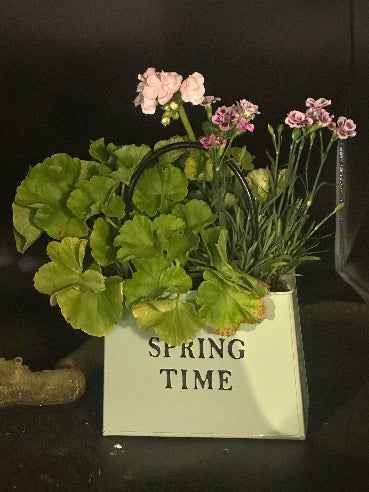 Spring time med blomster
