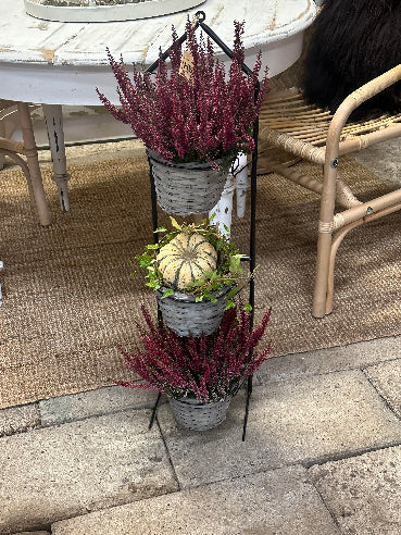 Kurve i stativ/display med beplantning