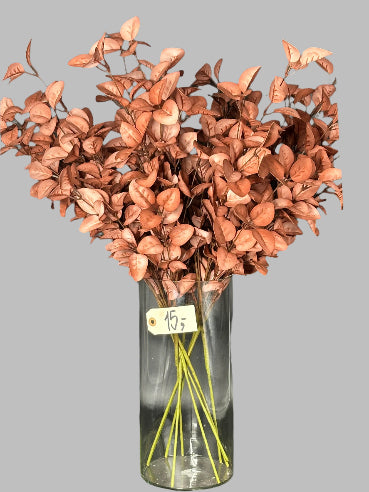 Evighedsblomster blommefarvet