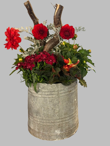 krukke med sammenplantning