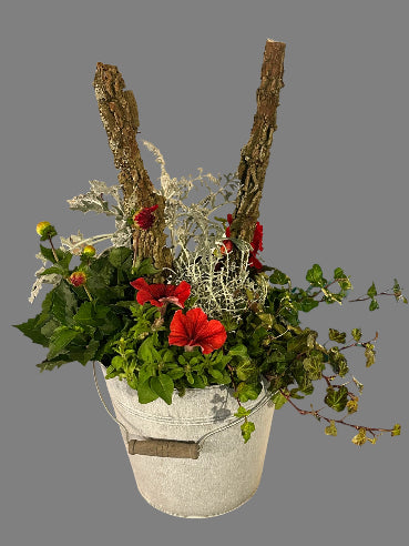 Zinkspand med sammenplantning