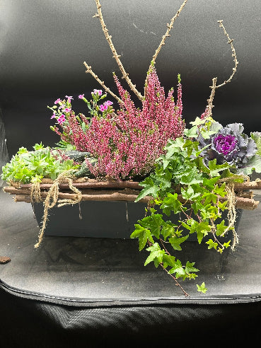 Sammenplantning efterår
