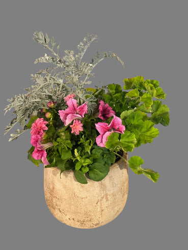 Krukke med sammenplantning