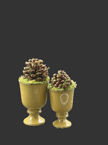 Kogledekoration i fodet potte – fås i to størrelser